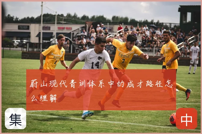 蔚山现代青训体系中的成才路径怎么理解